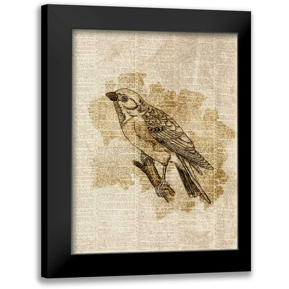 Studio, Sd Graphics 12x14 Black Modern Framed Museum Art Print Titled - Vintage Bird I