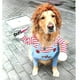 thumbnail image 3 of Objeto ropa tridimensional muñeco mortal disfraz de transformación de perro disfraz de mascota de Halloween divertido 1 rojo Baoji En Vedette, 3 of 5