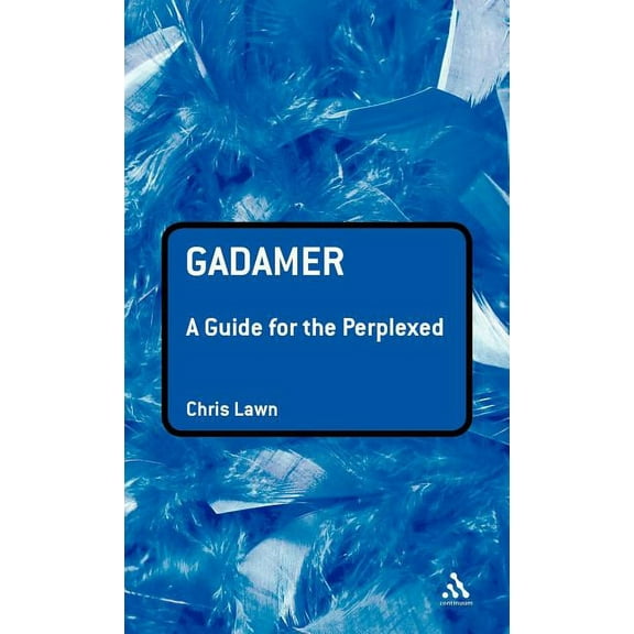 Guides for the Perplexed Gadamer: A Guide for the Perplexed, (Hardcover)