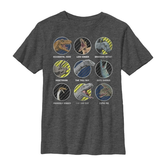Boy's Jurassic World Dinosaur Classmate Titles Graphic Tee Charcoal Heather Small