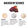 thumbnail image 3 of Suplemento Force Factor: superalimentos que aumentan el colágeno, 60 masticables, 3 of 8