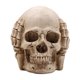 thumbnail image 5 of Adornos De Resina Para Halloween Adornos Decorativos Para Halloween Decoraciones Para El Hogar En Halloween, 5 of 6