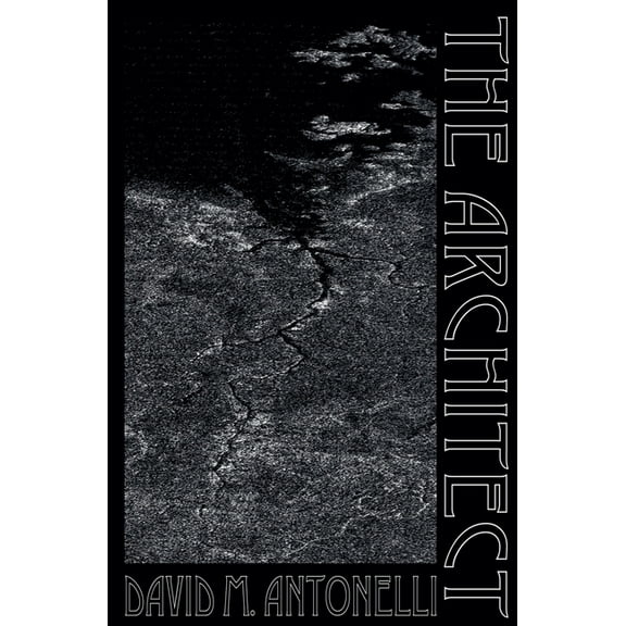 The Architect, (Paperback)