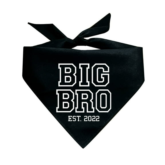 Big Bro Est. 2022 Triangle Dog Bandana