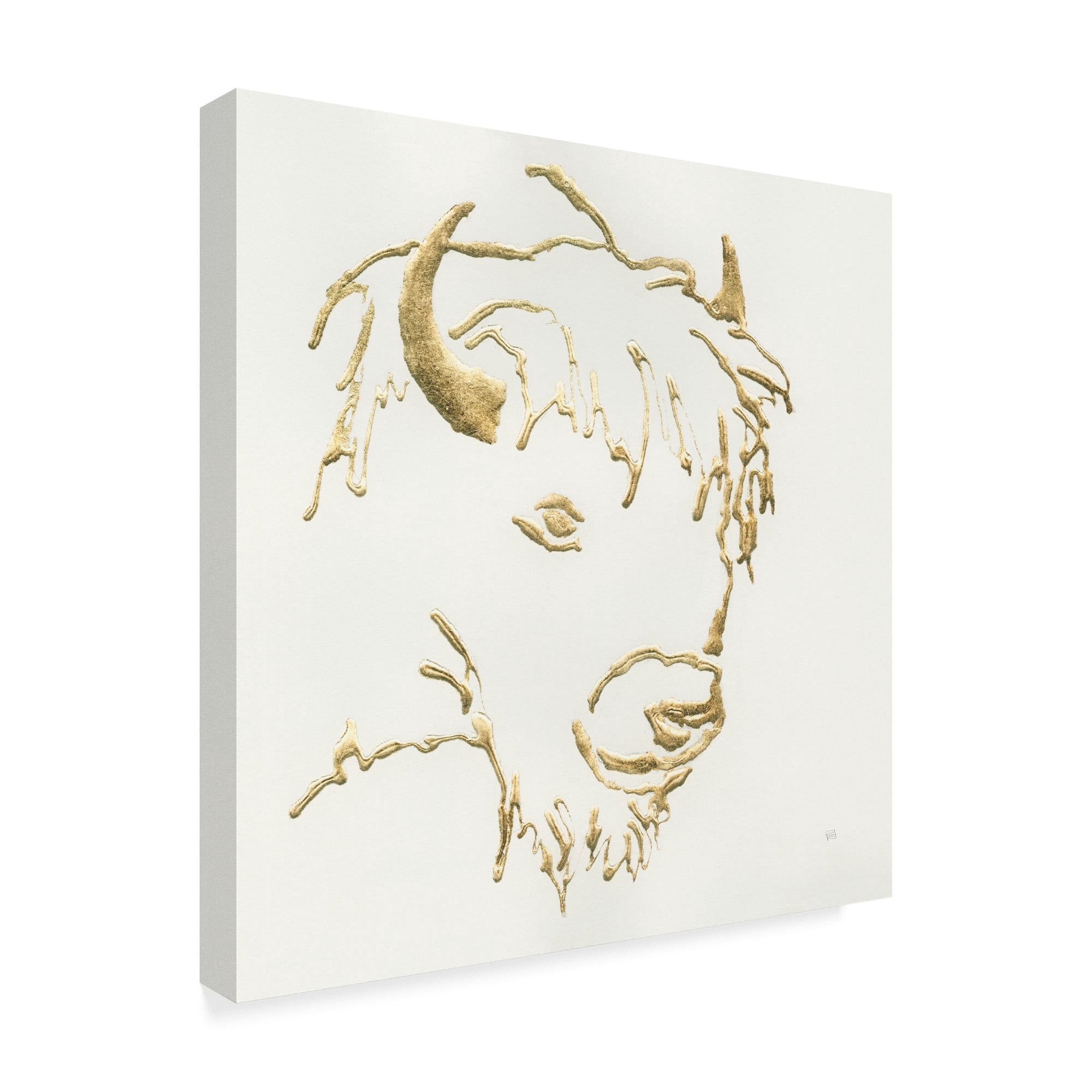 Trademark Fine Art 'Gilded Buffalo' Canvas Art by Chris Paschke