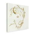 thumbnail image 2 of Trademark Fine Art 'Gilded Buffalo' Canvas Art by Chris Paschke, 2 of 3