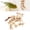 Natural Wood, variant on BIMZUC Bird Wood Star Chew Toy, Bite Resistant Natural Wooden Shredding Toy for Budgies, Parakeets, Cockatiels, and Lovebirds, Natural Wood Color, Dimensions 5.9 inches / 15 cm