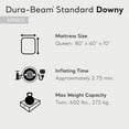 thumbnail image 3 of Intex 10" Dura-Beam Standard Downy Air Mattress, Queen (Pump Not Included), 3 of 12