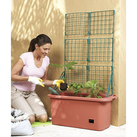 Mobile Vegetable Patch with Trellis Grow Herbs Patio Gardens Small