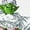 WHITE, variant on Dragon Ball Super Piccolo Men's White T-shirt-XXL
