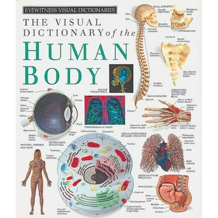 Pre-Owned Eyewitness Visual Dictionaries: the Visual Dictionary of the Human Body 9781879431188