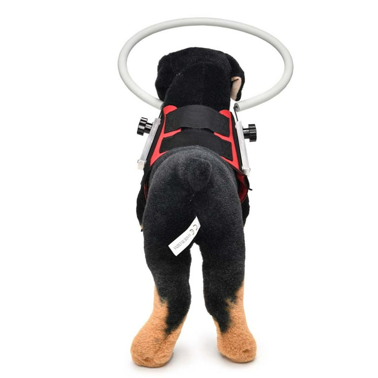 Head guard for blind dogs 2025