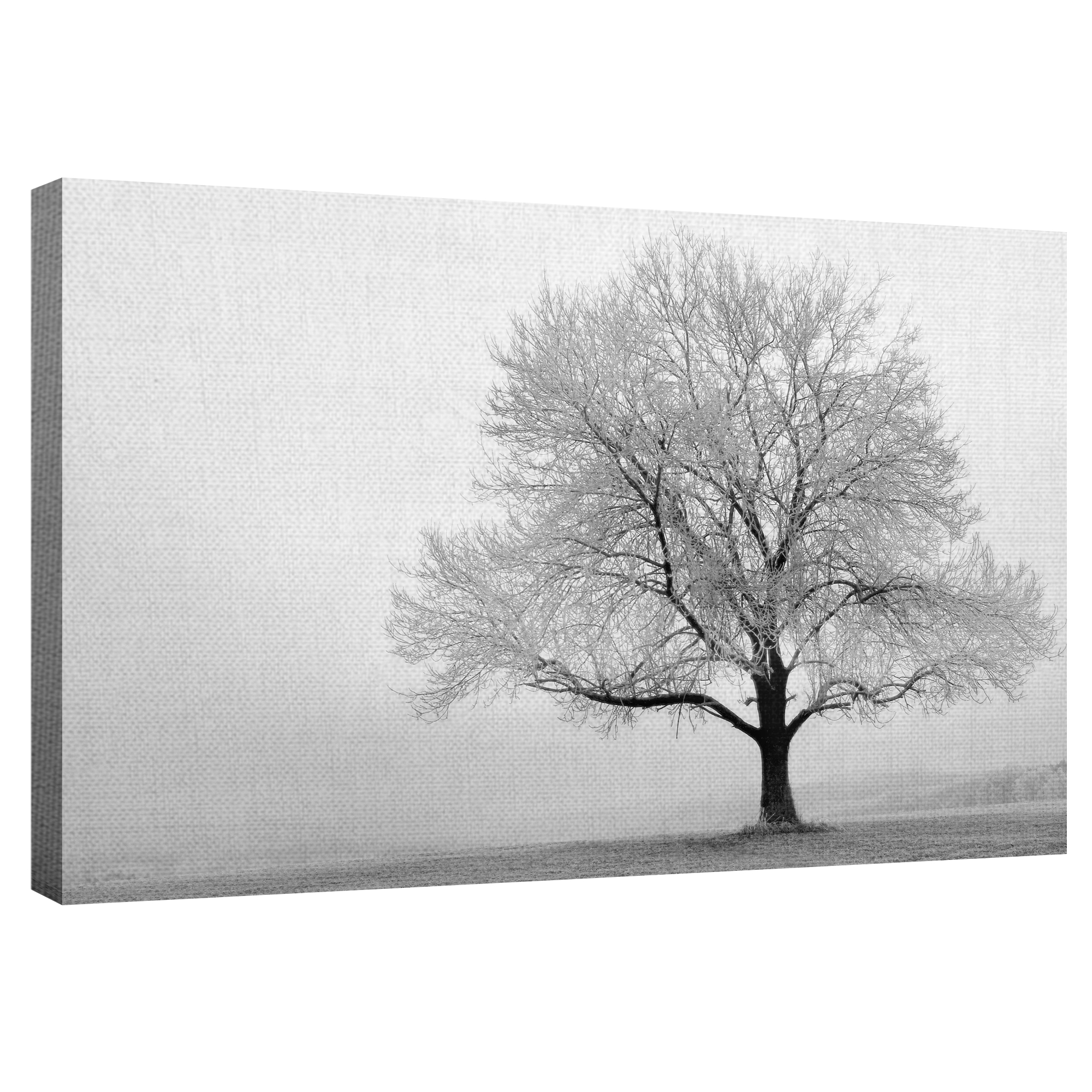 Masterpiece Art Gallery Winter Tree Serenity by Ilona Wellmann Canvas Photo Art Print 24" x 36"