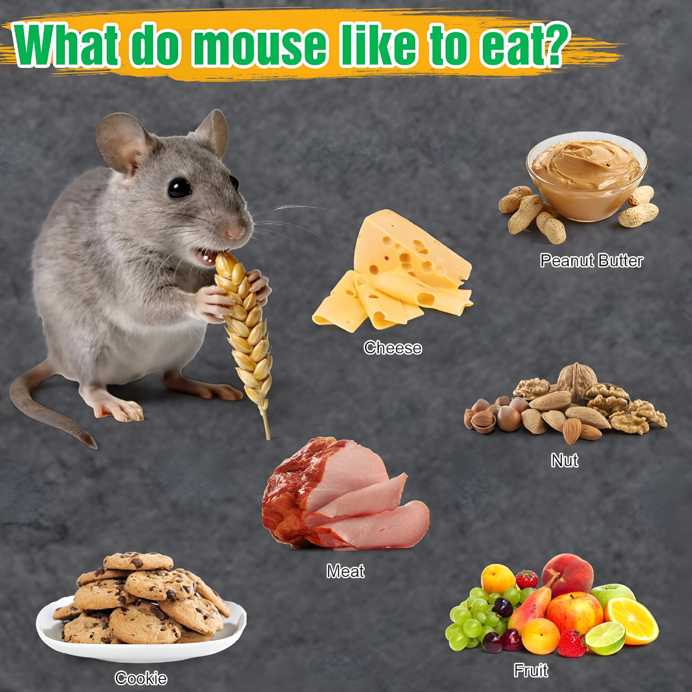 QARUN 4 Pcs Humane Mouse Traps No Kill,Live Mouse Trap,Reusable Mice Trap Catch for House&Outdoors