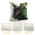 thumbnail image 4 of Qinduosi  Black Cat and Watercolor Flower Farmhouse Pillow Cover  Decorative Square Throw Pillow Cover for Sofa Couch Decoration White, 4 of 5