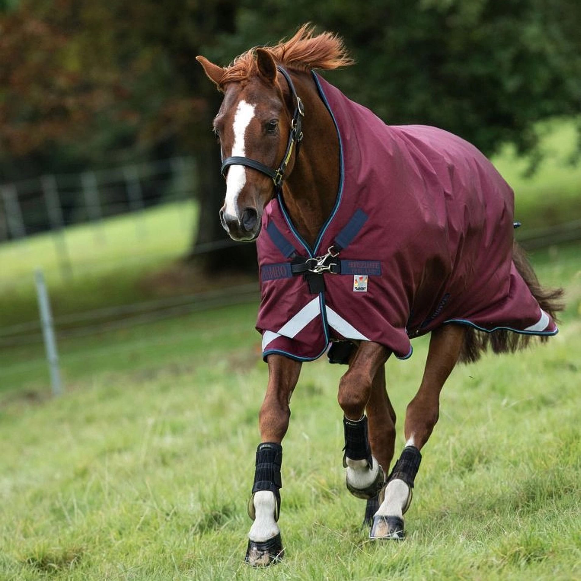 Horseware Ireland Mio Turnout Medium 200g Dark Blue/Red 69