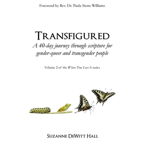 Pre-Owned Transfigured: A 40-day journey through scripture for gender-queer and transgender people (Paperback) 0986408034 9780986408038
