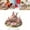 4-Pink, variant on Girls with Butterfly Wing and Flowers Colorful - Fairy Statue Collection Home Decoration - 2D Flat Decoration Resin Gardening Gifts for Women Statues for Garden Fairy Indoor or Outdoor 4-Pink