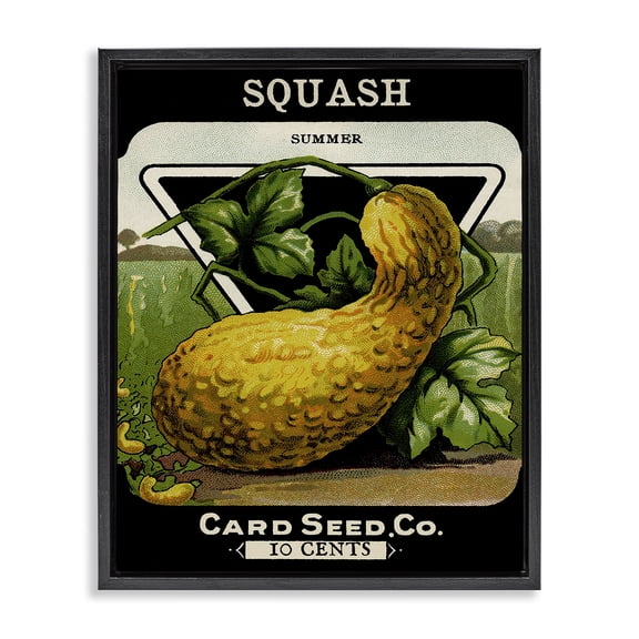 Stupell Industries Farmhouse Vintage Gardening Squash Black Floating Frame Canvas Art, 17 x 21, by Lil' Rue