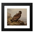 thumbnail image 2 of Ferdinand von Wright 23x20 Black Modern Framed Museum Art Print Titled - White-Tailed Eagle with its Prey (1861), 2 of 5