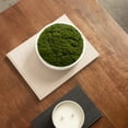thumbnail image 2 of Better Homes & Gardens 8" Faux Moss in Ceramic Bowl, 2 of 14