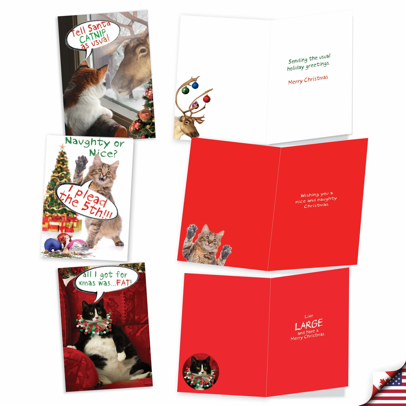 NobleWorks 20 Assorted Box Set Funny Christmas Greeting Cards w/5 x 7 Inch Envelopes (10 Designs, 2 Each) Cat-Mass Cards AC1254XSG-B2x10