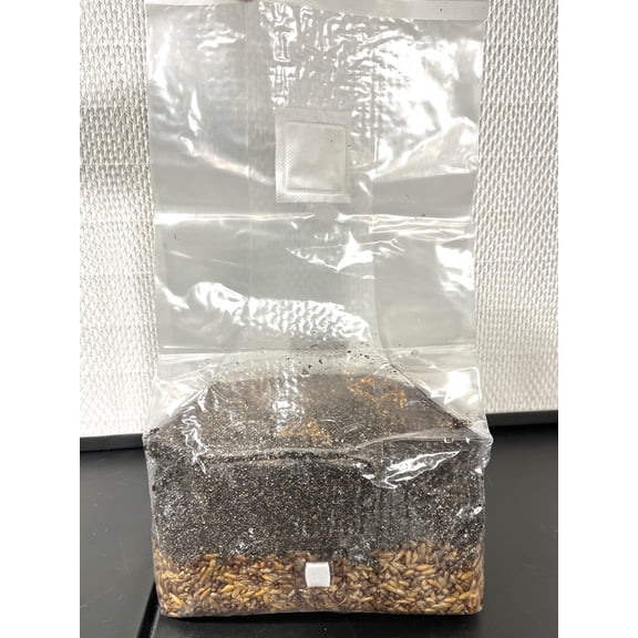 5lb All-in-One Mushroom Grow Bag – CVG Substrate with Azomite – Sterilized 3-Grain Blend (Rye, Oats, Milo) – Premium Bulk Grow Kit