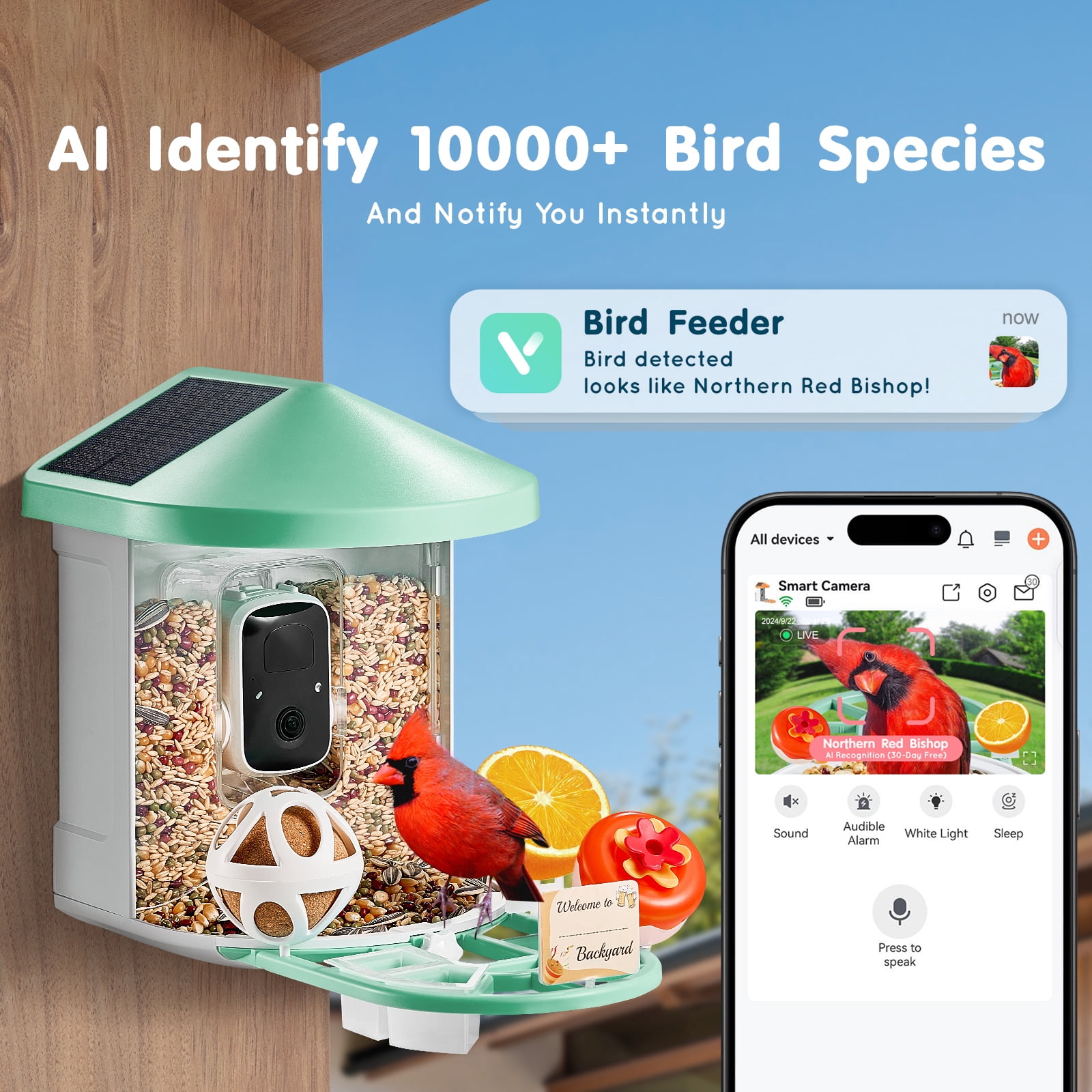 KFFKFF Intelligent Bird Feeder Camera, 2K HD, Solar-Powered, Recognizes Over 10,000 Species, Automatic Photo Capture & Alerts, Ideal Outdoor Gift for Bird Enthusiasts, Includes 2 Solar Panels