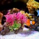 thumbnail image 5 of KAKOWELY Hierba artificial para acuario, delicada planta decorativa para acuario., 5 of 5