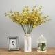 thumbnail image 5 of Orquídea de Baile del Pavo Real Amarilla: Decoración Zen para Hogar con Maceta de Plástico, Ideal para Ambientes Tranquilos y Elegantes., 5 of 6