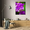 thumbnail image 3 of Bob Stefko 31x44 Gallery Wrapped Canvas Wall Art Titled - Purple Orchid II, 3 of 4