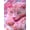 Pink, variant on Mudket Pink Gold Glitter Leopard Cub Canvas Wall Art, Cute Fantasy Glam Animal Wall Art for Bedroom Print for Baby Nursery Home Decor , Framed Ready to Hang - 12"L x 8"W