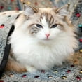 thumbnail image 4 of Waterproof fleece bed for small animals reusable absorbent guinea pig cage liner s: 52*76cm, 4 of 4
