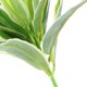 thumbnail image 4 of Planta de agua artificial artificiales de exterior exterior exterior real para acuarios se describe, 1 1 Salvador  Reptil Vivarium Plant, 4 of 10