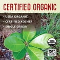  Unsmoked Yerba Mate Tea Bags Detox and Hi Caf Tea Organic 100 Tea Bags, 8.8 oz