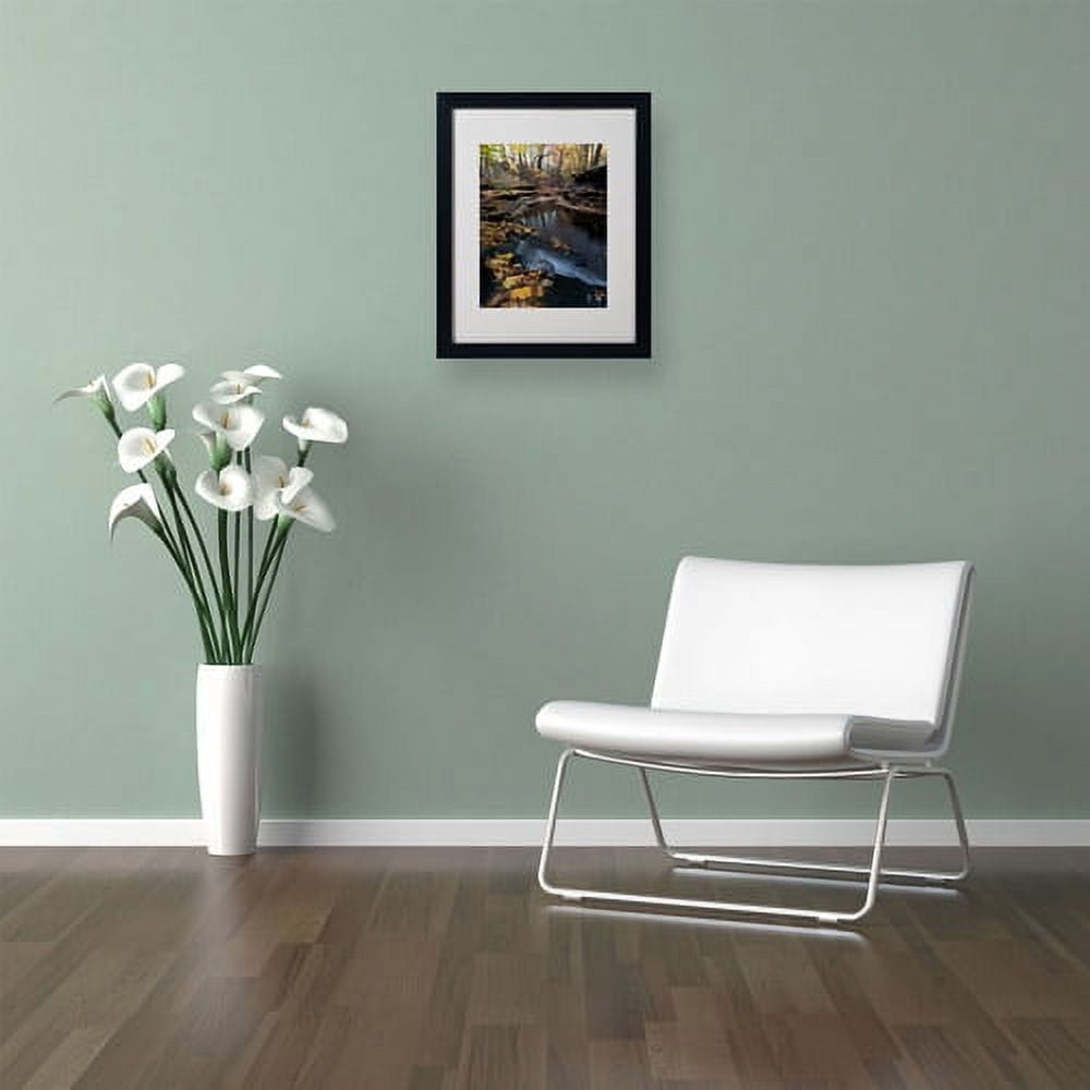 Trademark Fine Art "Autumn Stream" Canvas Art by Kurt Shaffer, Black Frame