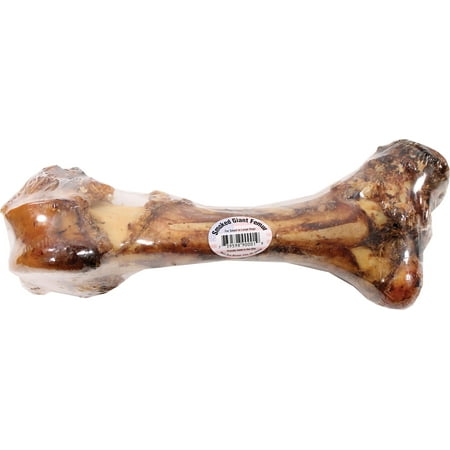 Best Buy Bones-Smoked Giant Femur Dog Chew 16 Inch (Case of 8 (Best Bums In Sport)