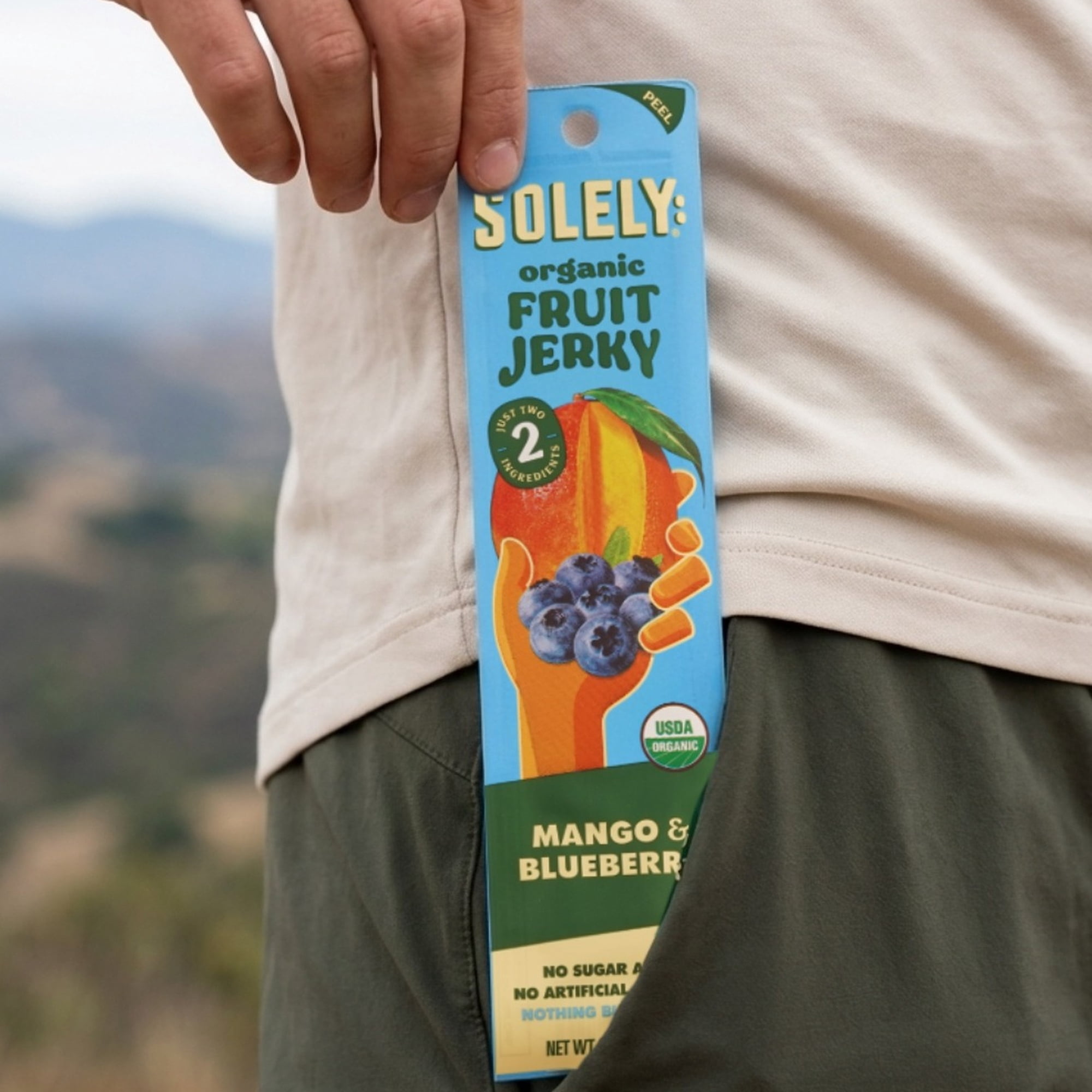 Solely Mango & Blueberry Organic Fruit Snack Jerky, 0.8 oz (5 Count)