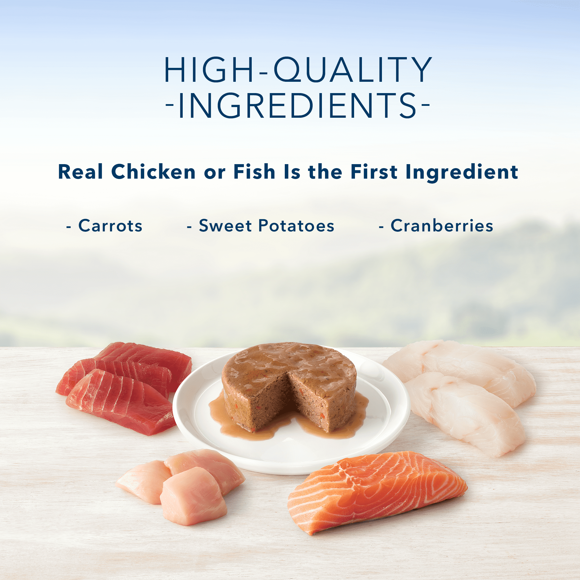 Blue Buffalo Healthy Gourmet Pate Wet Cat Food Variety Pack, Chicken, Turkey & Chicken, Ocean Fish & Tuna 5.5oz cans (12 count-4 of each flavor)