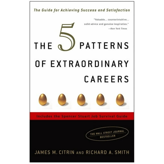 The 5 Patterns of Extraordinary Careers : The Guide for Achieving Success and Satisfaction (Paperback)