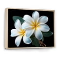 thumbnail image 2 of Designart "Elegance In Charming Plumeria I" Plumeria Floater Framed Canvas Art Print, 2 of 5