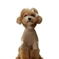 thumbnail image 4 of BAIANNAN Love Winter Warm Pet Dog Clothes Base Shirt Cute Teddy Yorkshire Hoodie Cat Pet Warm Clothes Designer Puppy Clothing, 4 of 4