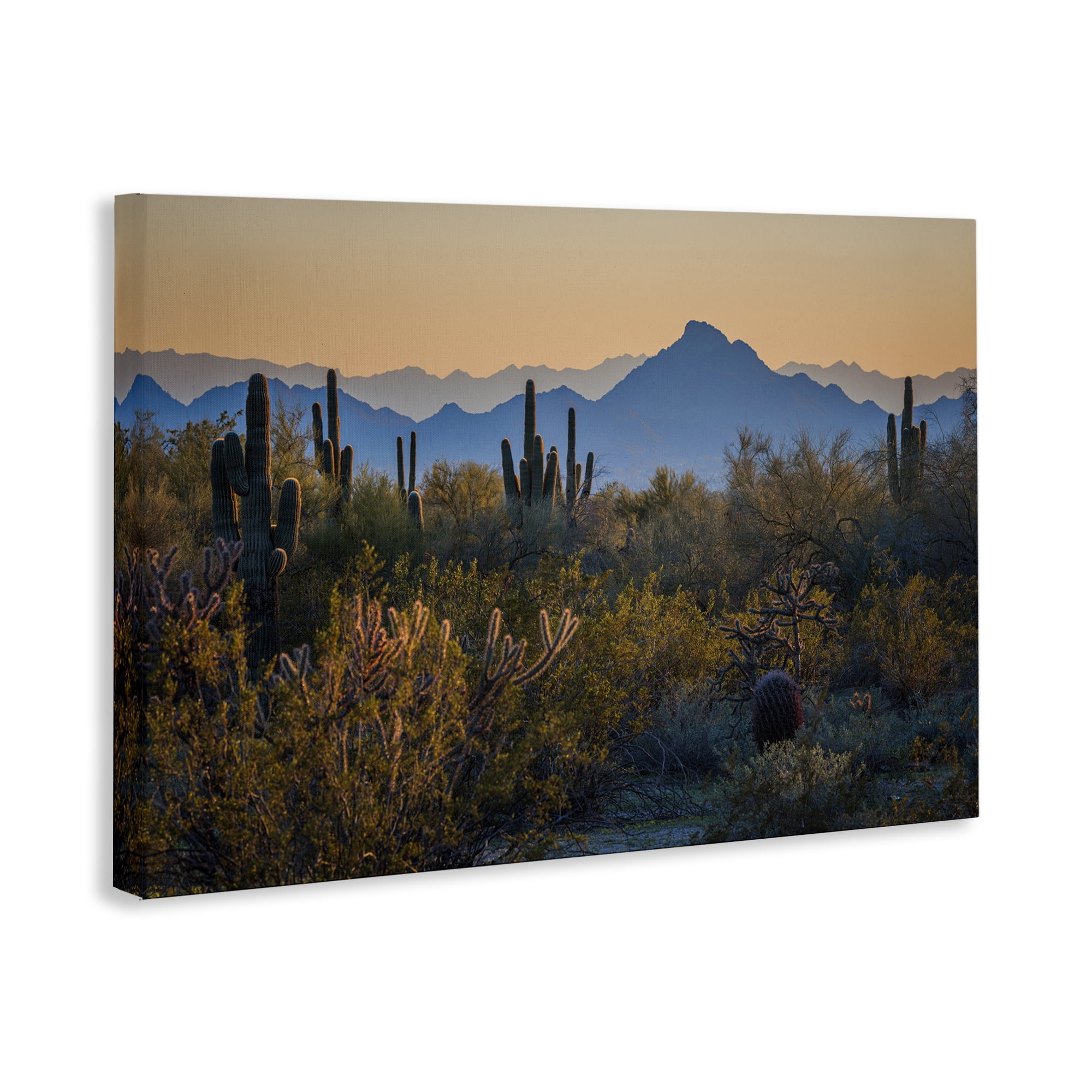 Stupell Industries Contrasting Desertscape Scene Landscape & Nature Photography Wrapped Canvas Art Print Wall Art, 24 x 16