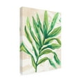 thumbnail image 2 of June Erica Vess 'Parchment Palms I' Canvas Art, 2 of 4