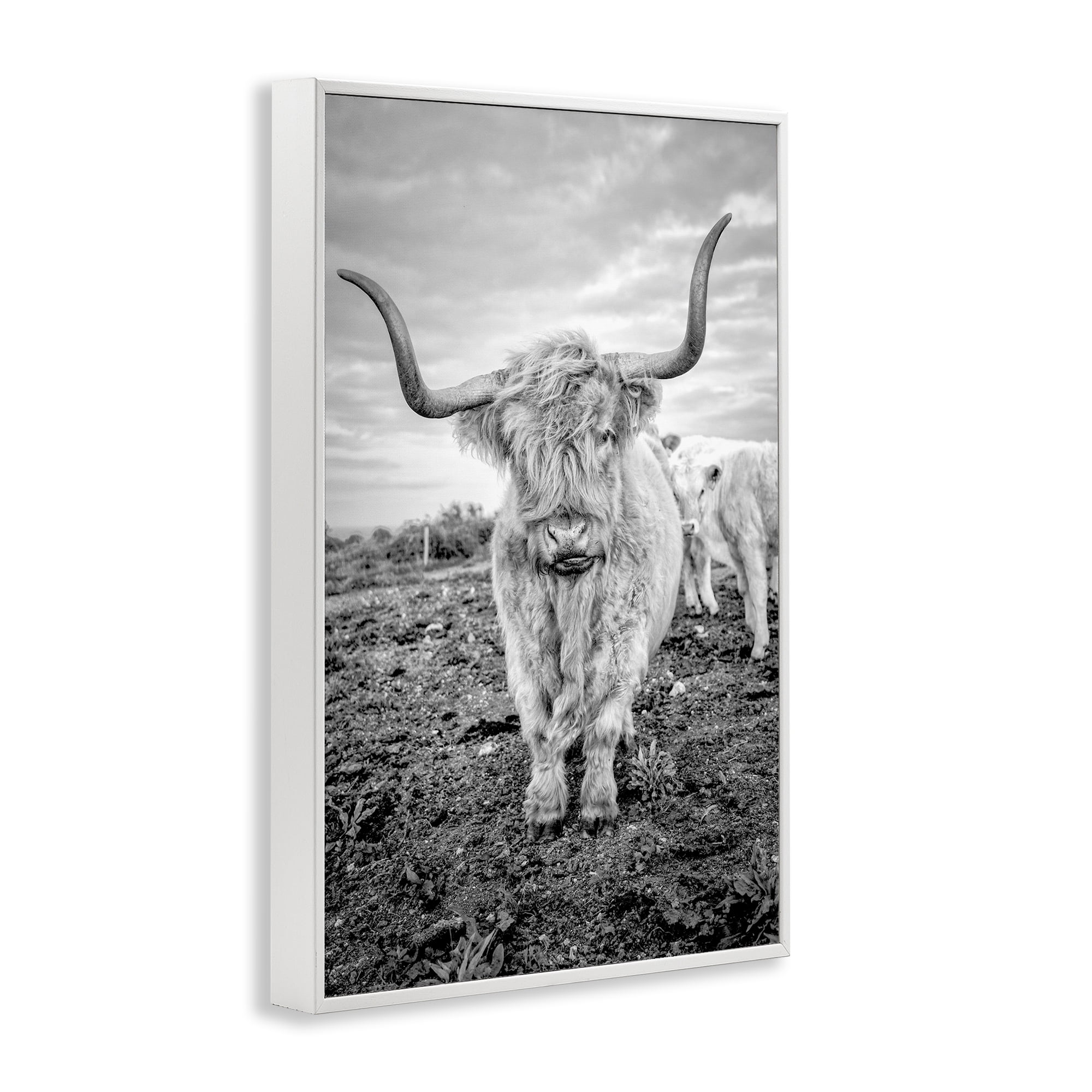 Stupell Industries Longhorn Calf Family Animals & Insects Photography White Framed Art Print Wall Art, 20 x 30