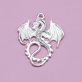 thumbnail image 3 of LOLIPPYY 20pcs Bright Alloy Pendant Charms for Jewelry Making, Necklace and Bracelet Accessories, 3 of 7