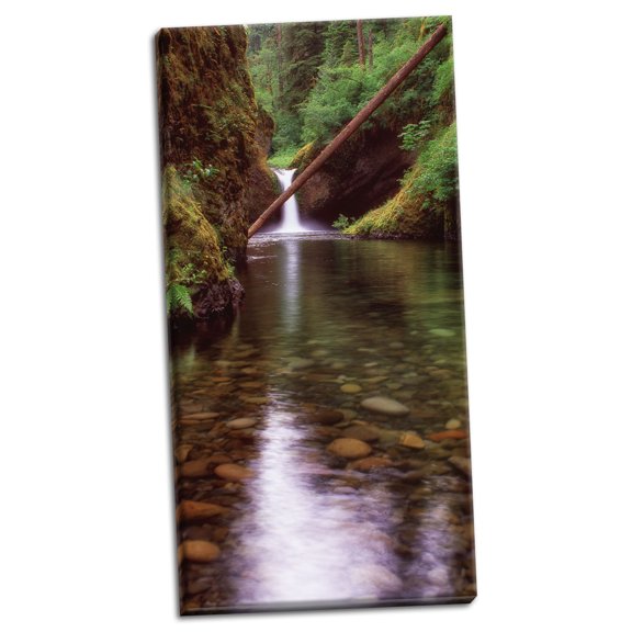 Gango Home Decor Punch Bowl Falls by Ike Leahy (Ready to Hang); One 18x36in Hand-Stretched Canvas