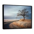 thumbnail image 2 of Designart "Winter Charm In Prairie'S Scenic Beauty" Prairies Floater Framed Canvas Prints, 2 of 5