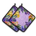 thumbnail image 1 of Carolines Treasures CK1697PTHD Iris Paire de Porte-Pots, 1 of 3