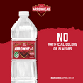 thumbnail image 5 of Arrowhead Mountain Spring Water, 20 fl oz, Single Plastic Bottle, 5 of 7
